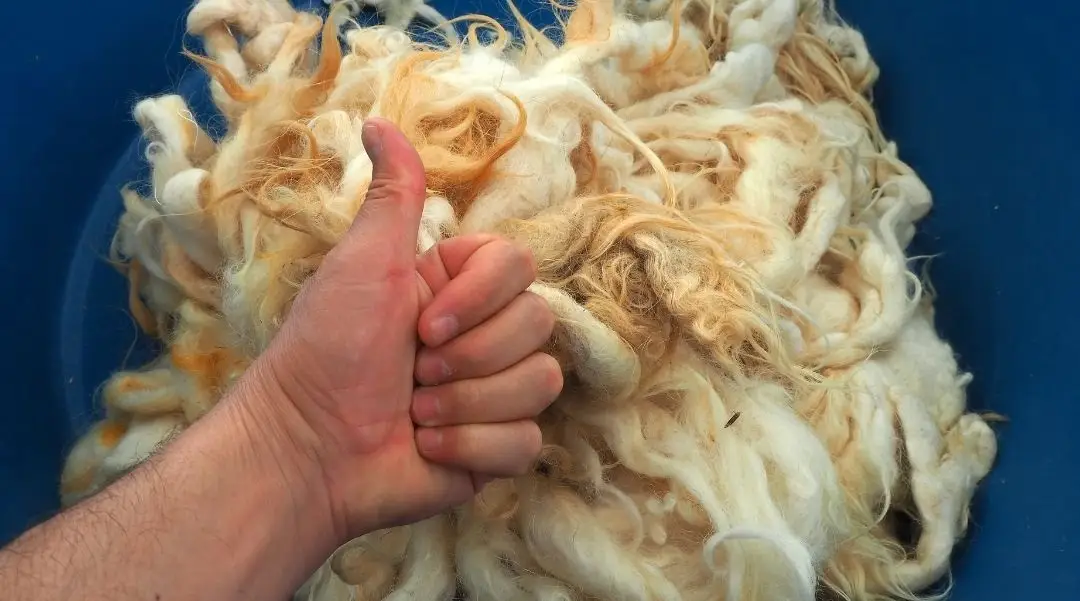 Yün Yıkama hizmetinin resmi.